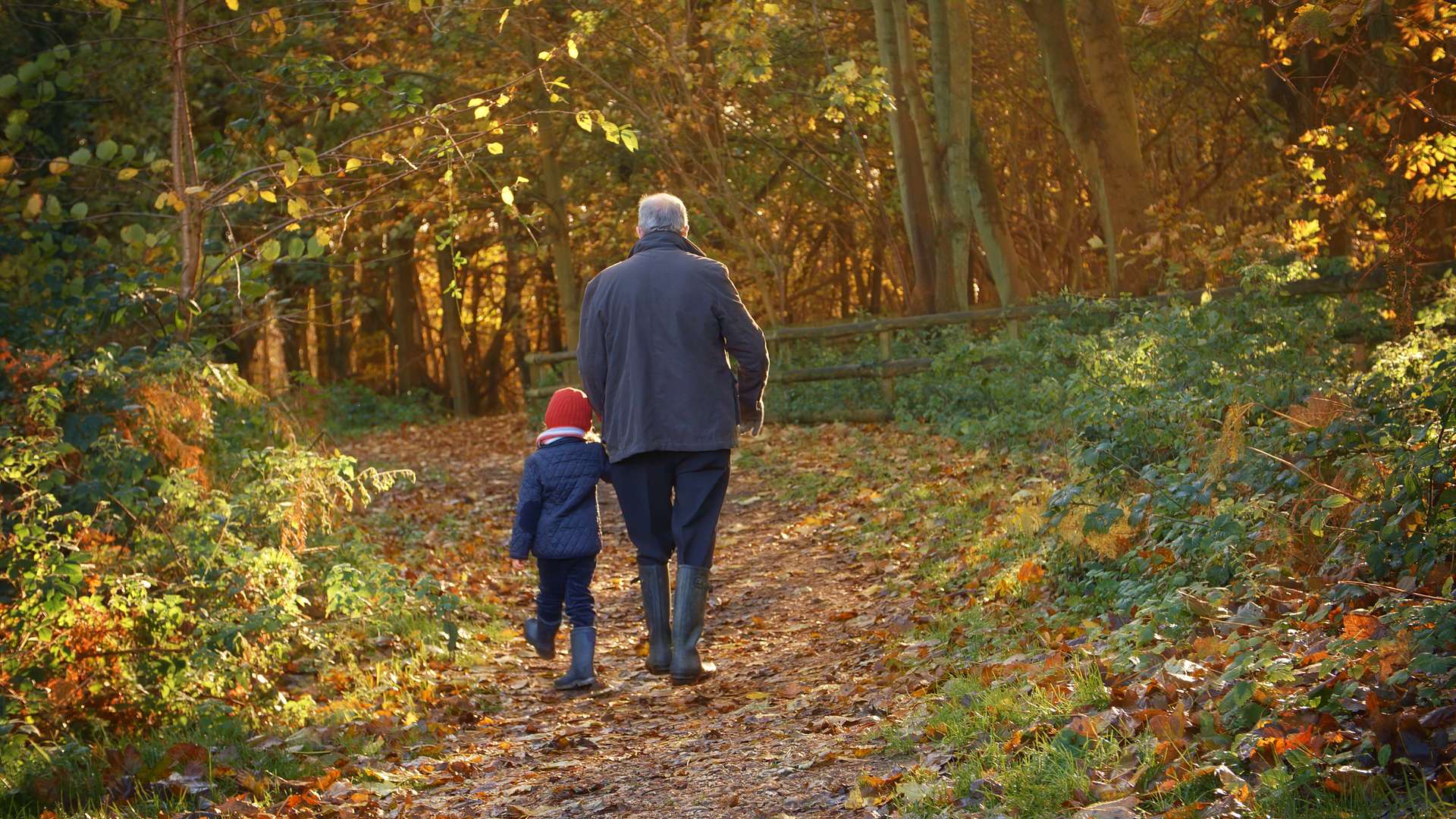 Grandfather Walking in Woods