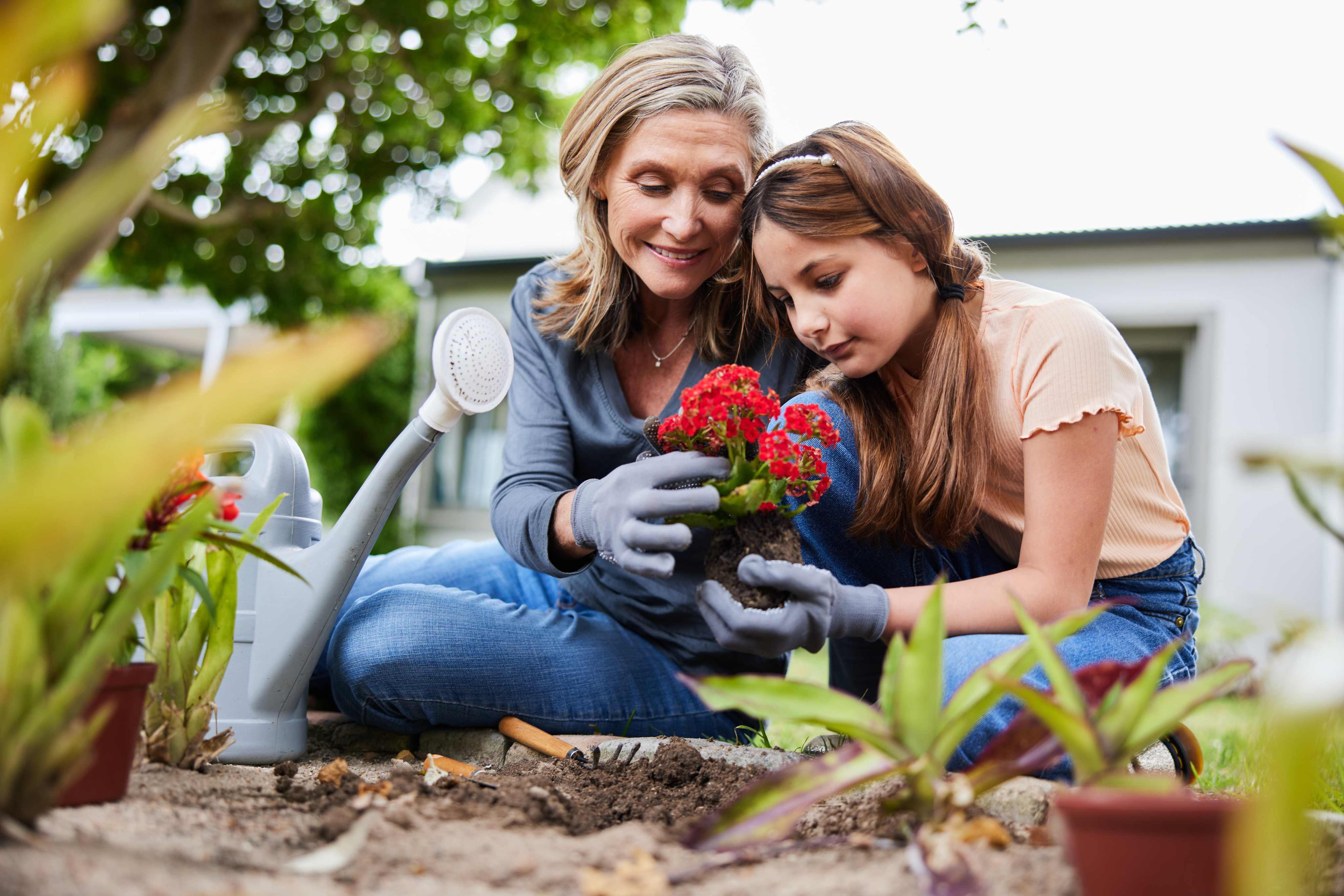 Mother and daughter gardening together planting red flowers outdoors