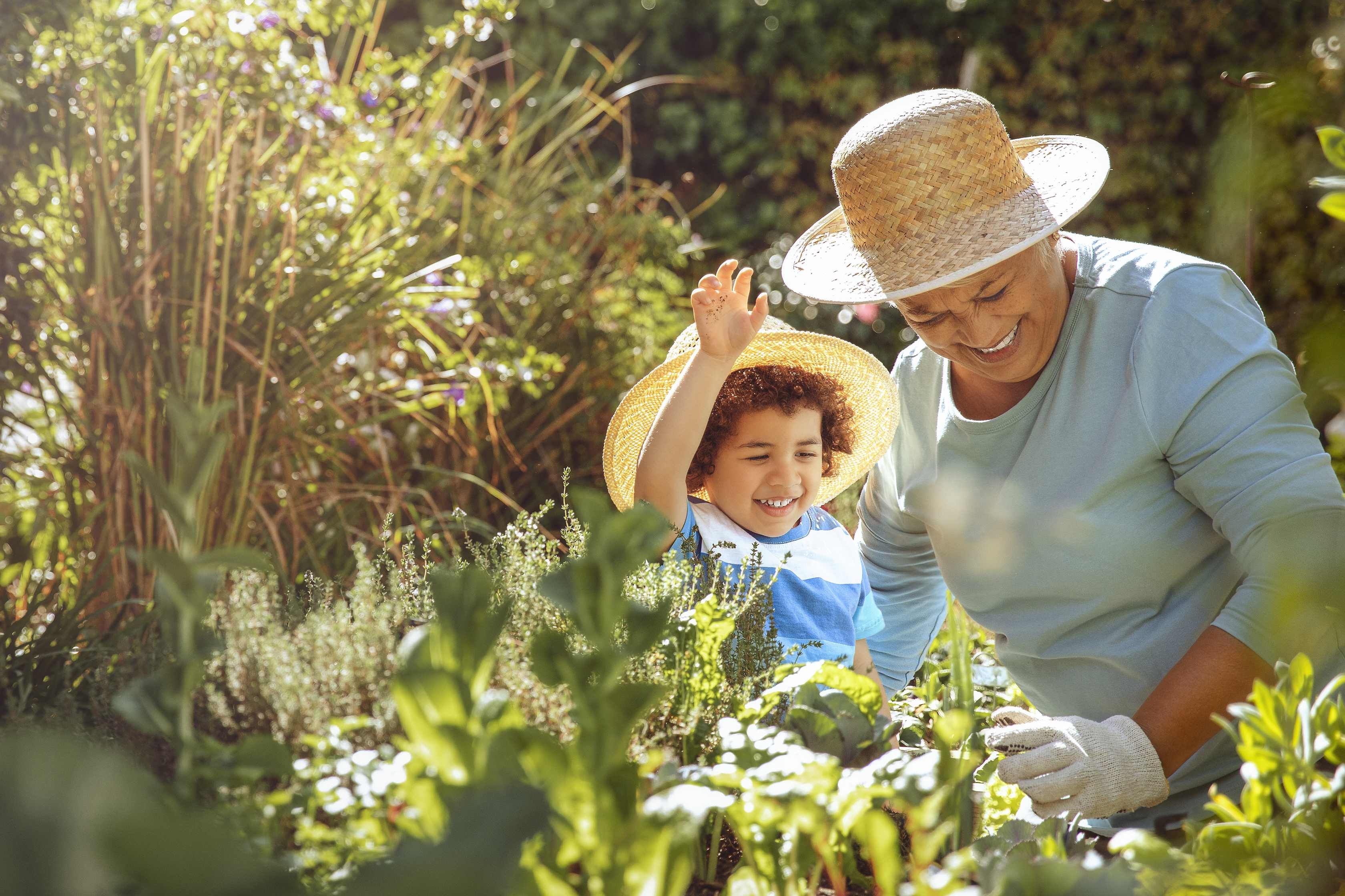Woman and child gardening together wearing straw hats in sunny garden